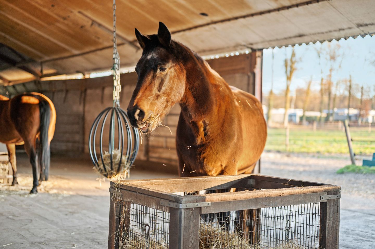 Foto 49 van Sleeweg 1