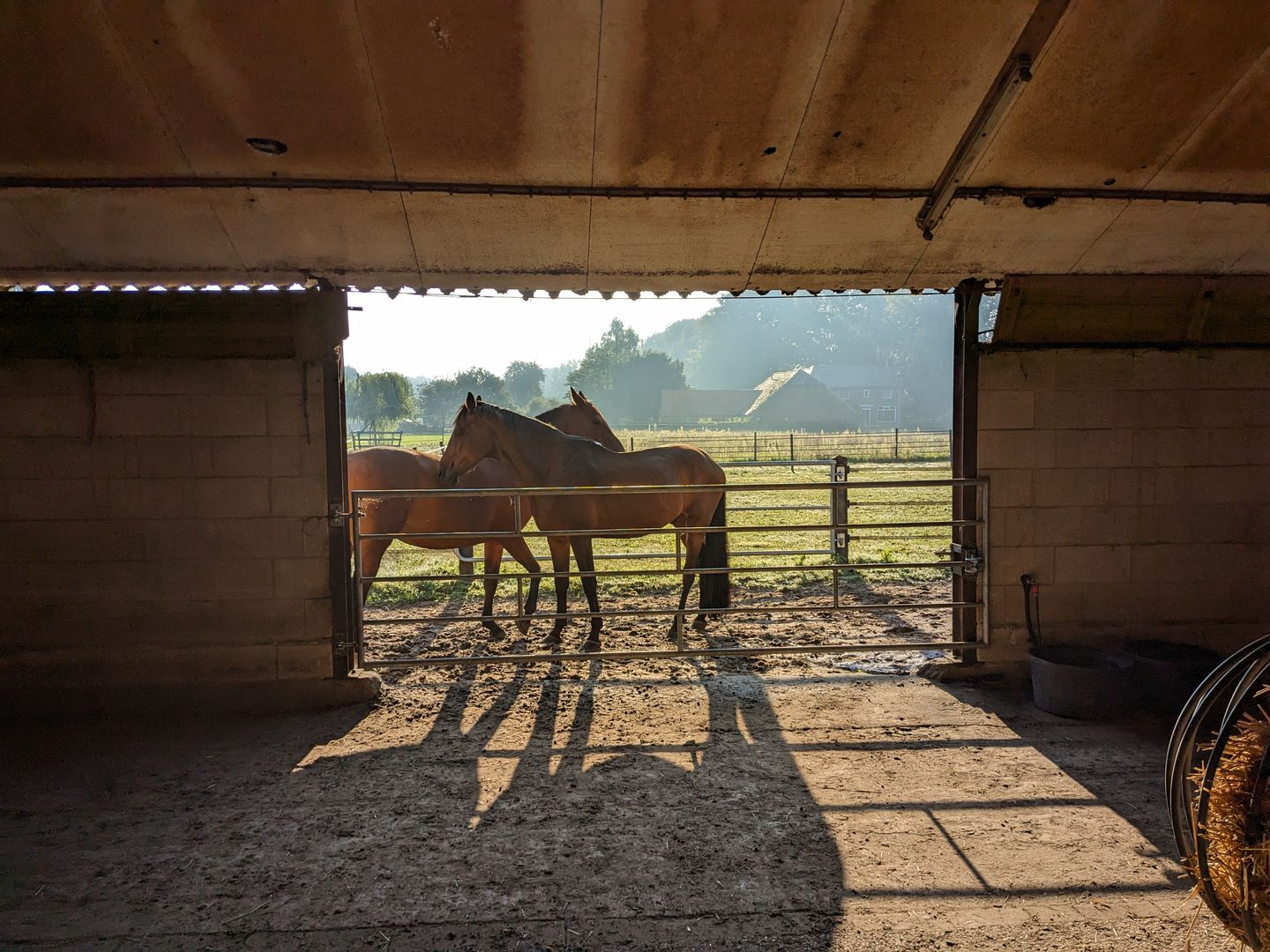 Foto 55 van Sleeweg 1