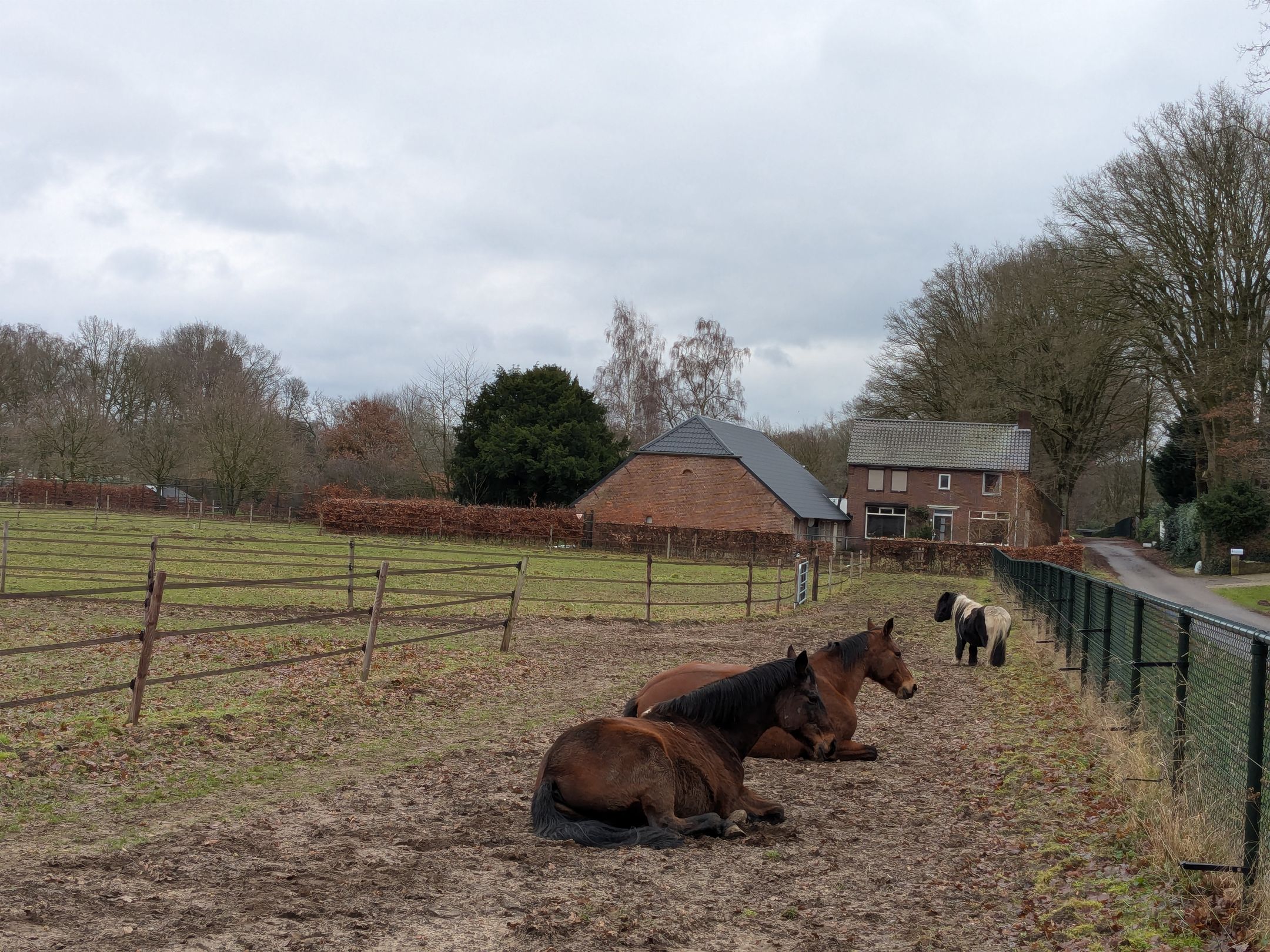 Foto 60 van Sleeweg 1