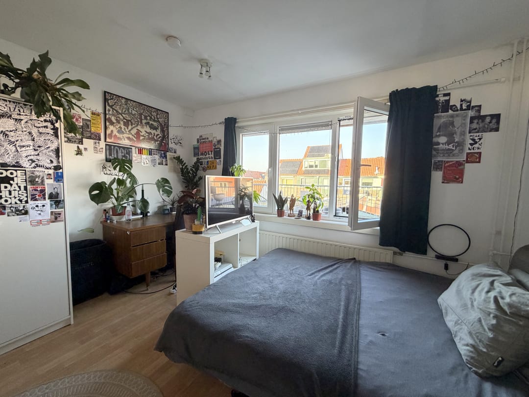 Foto 2 van Noordewierweg 123