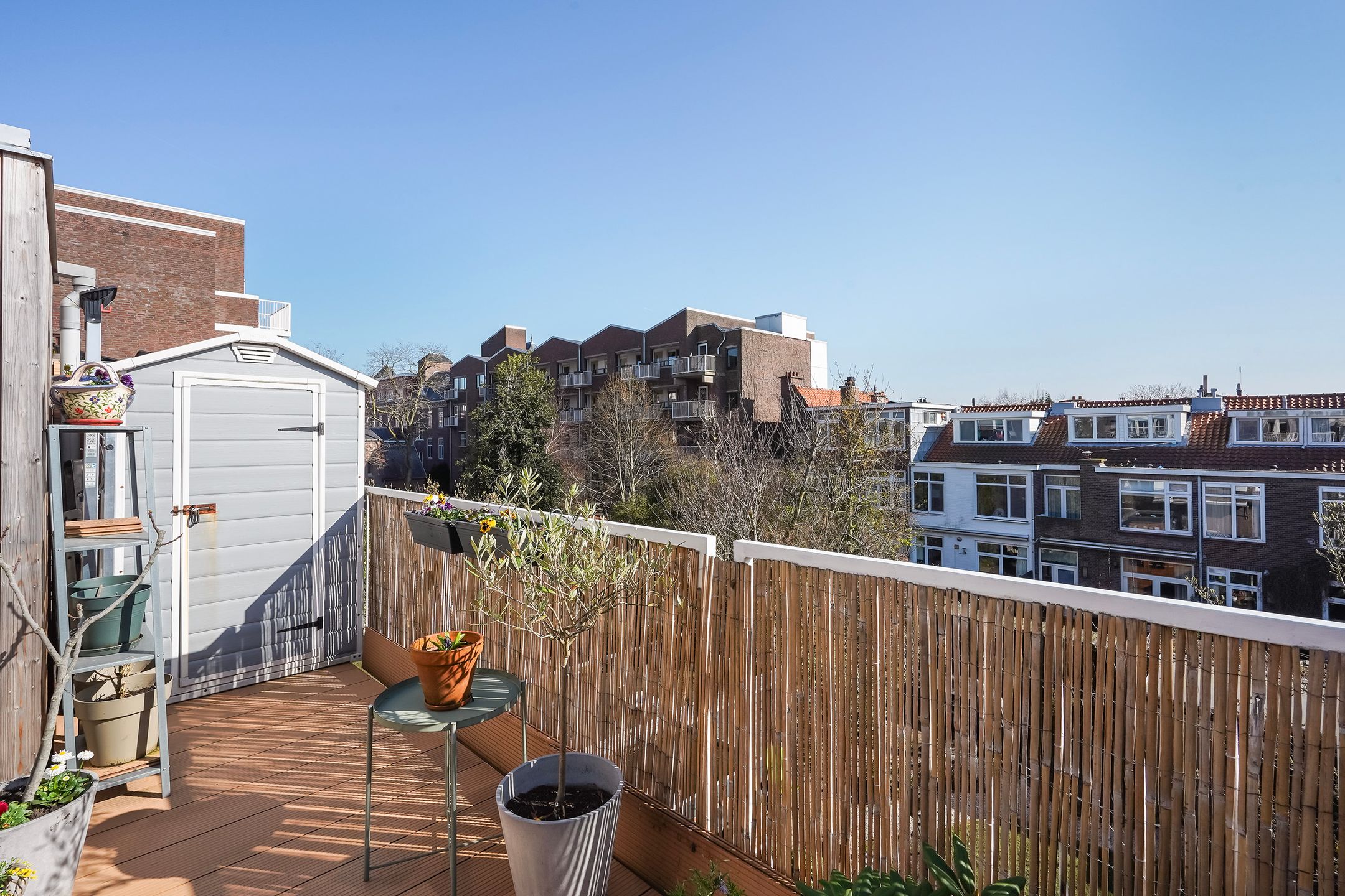 Foto 42 van Druivenstraat 32