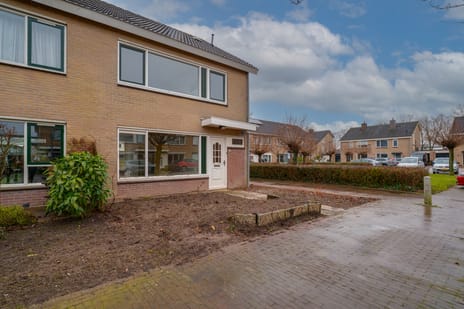 undefined main image