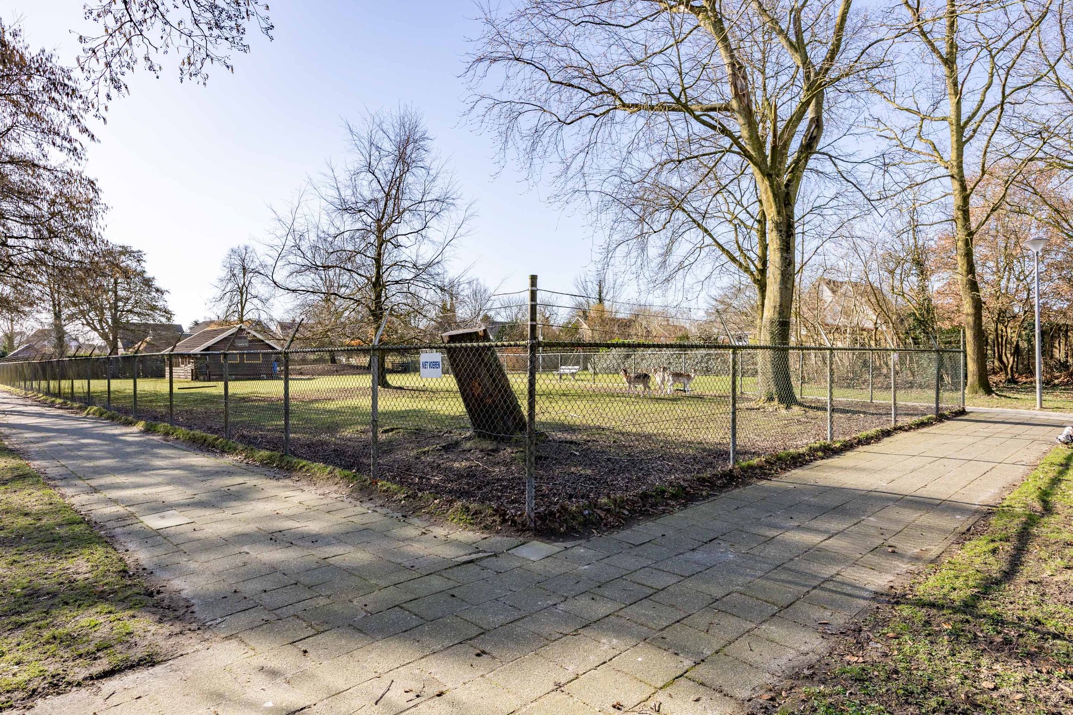 Photo 9 of Borgweg 53