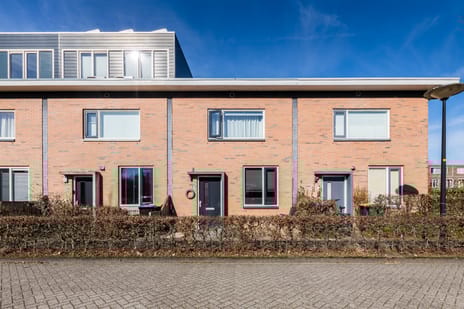 undefined main image