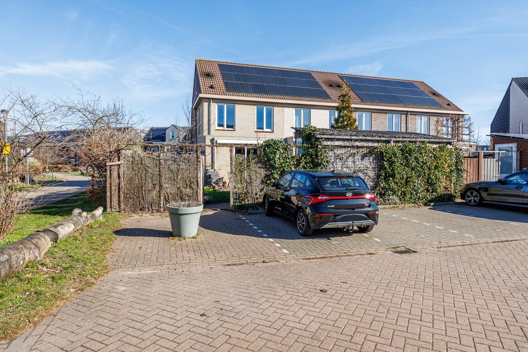 Foto 28 van Lavendel 27