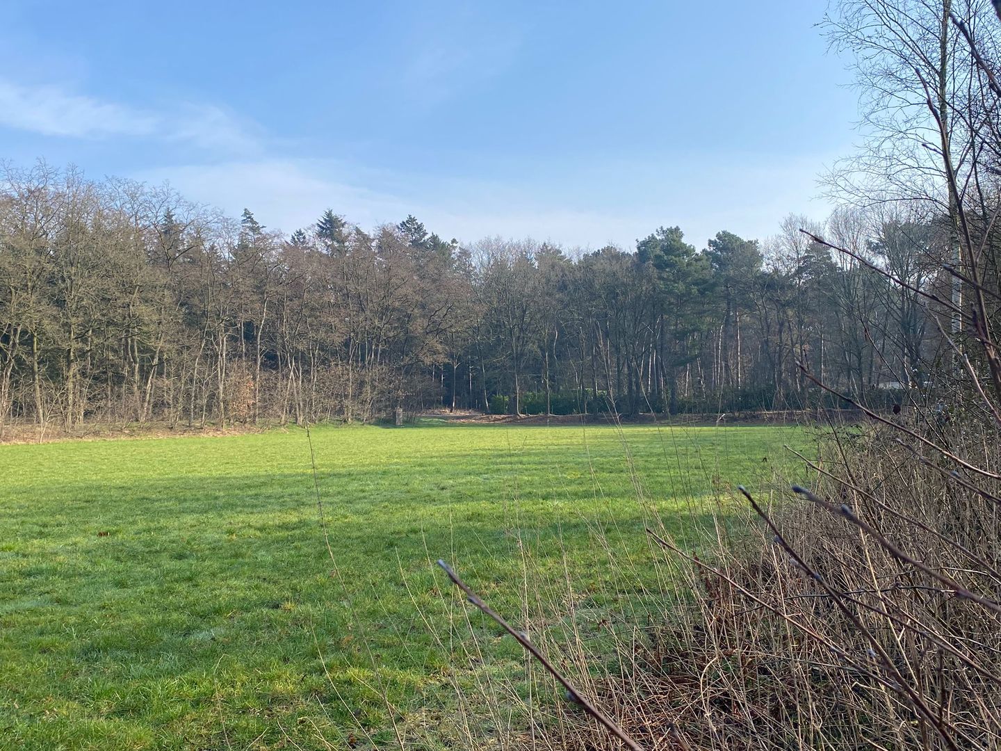 Bekijk foto 5 van Gulberg