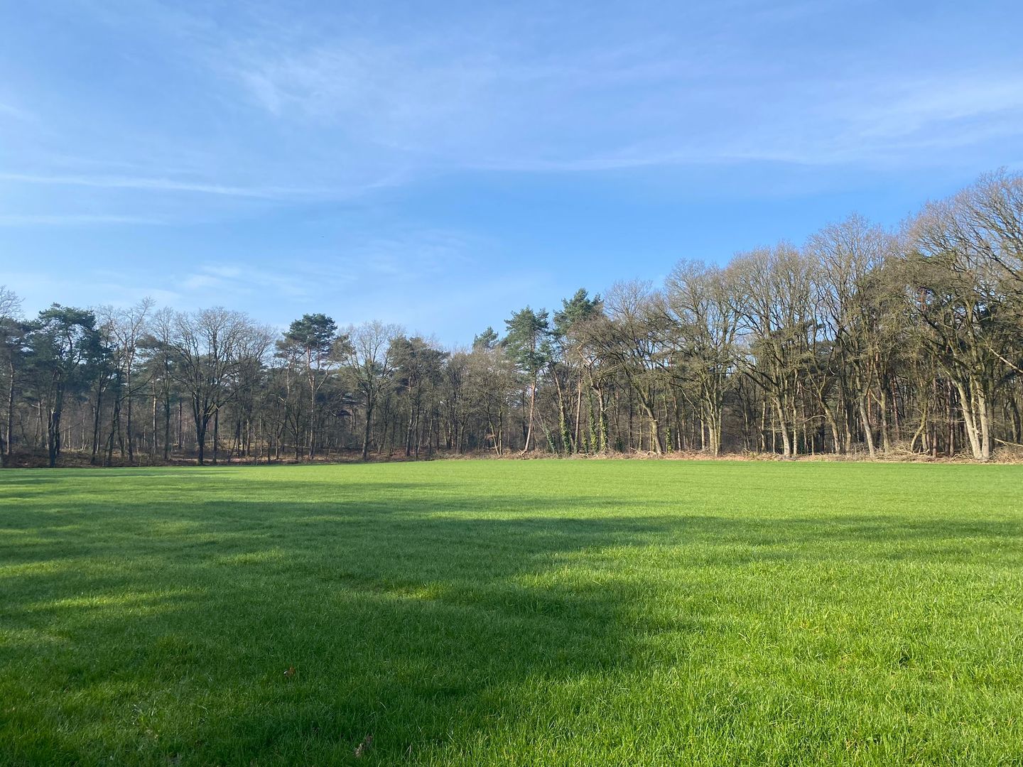 Bekijk foto 5 van Luchenseheide