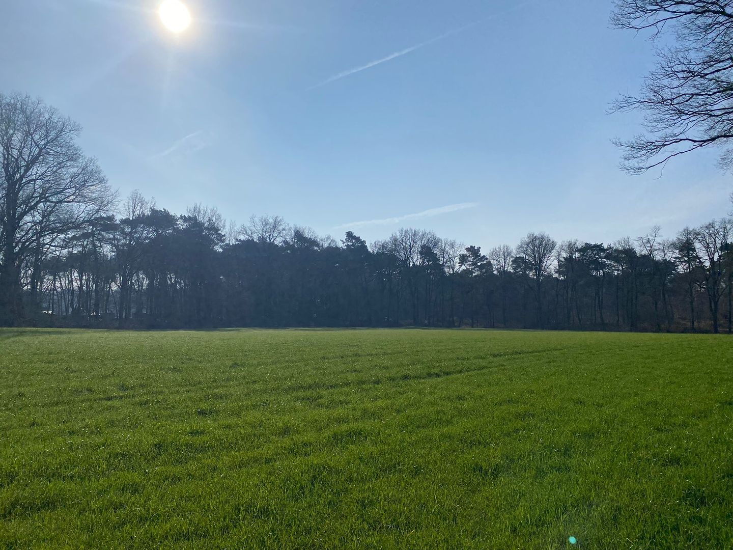 Bekijk foto 3 van Luchenseheide