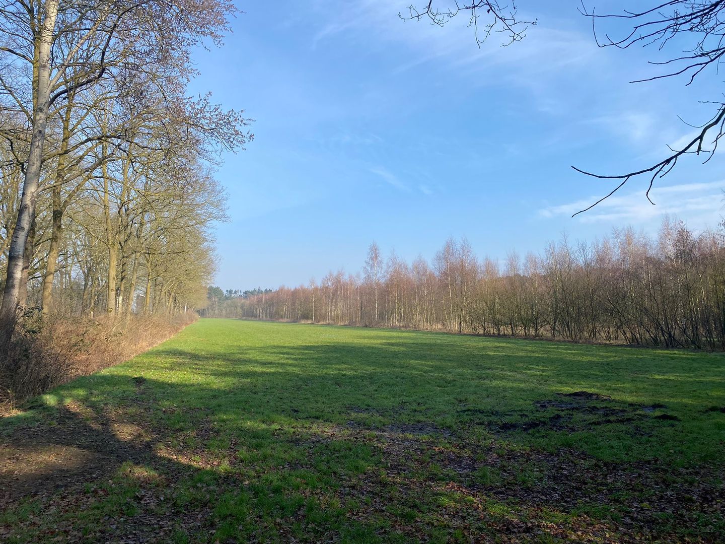 Bekijk foto 3 van Gulberg