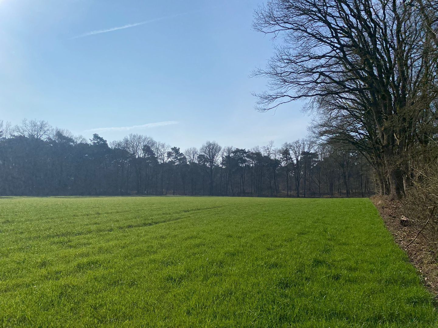 Bekijk foto 4 van Luchenseheide