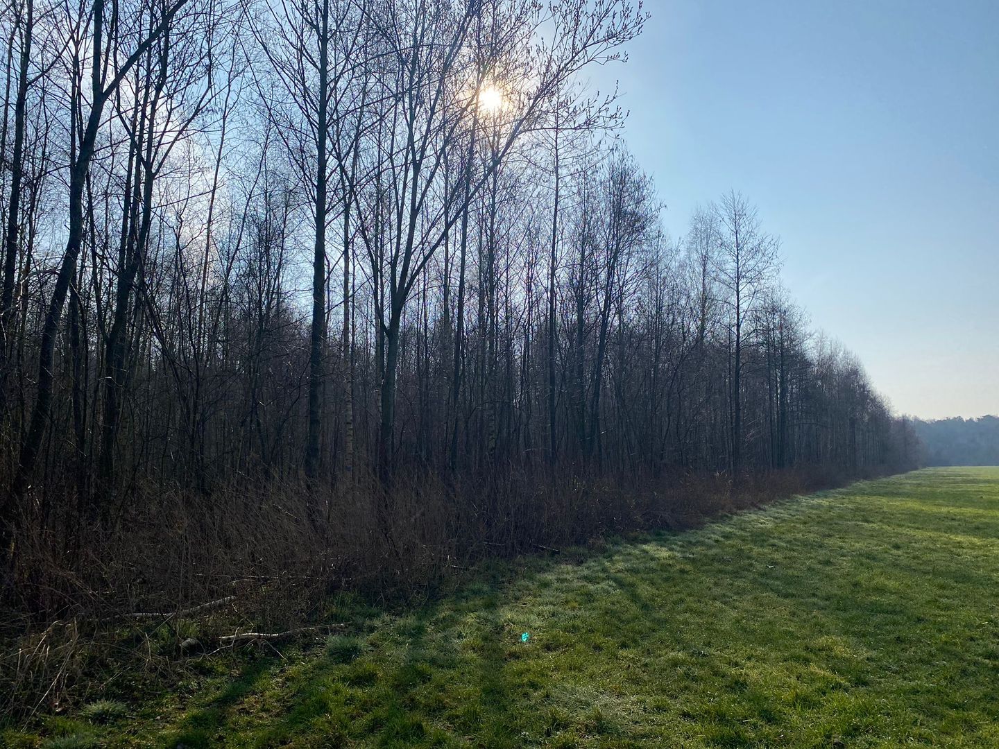 Bekijk foto 4 van Gulberg