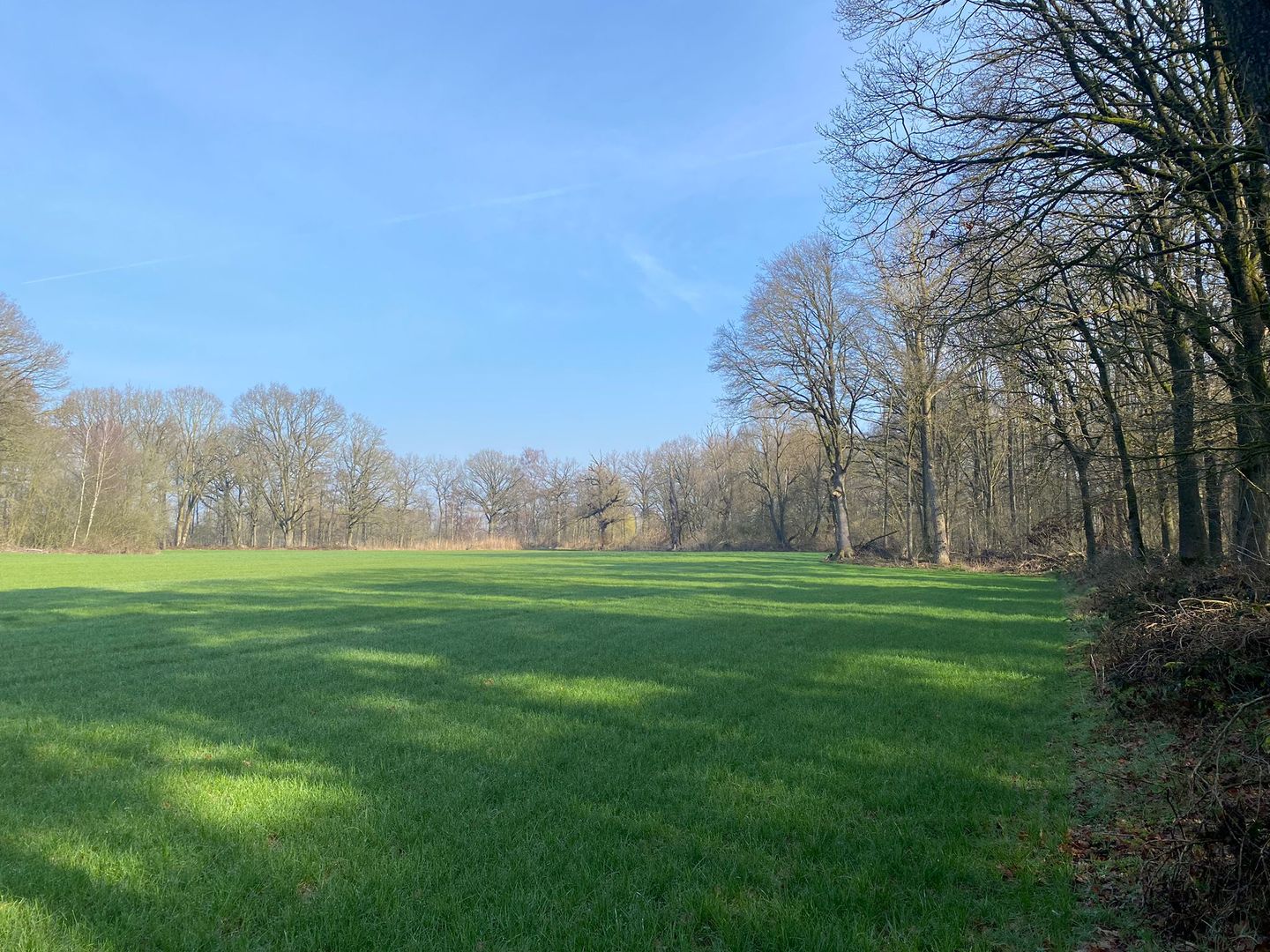 Luchenseheide - Mierlo - Afbeelding 7