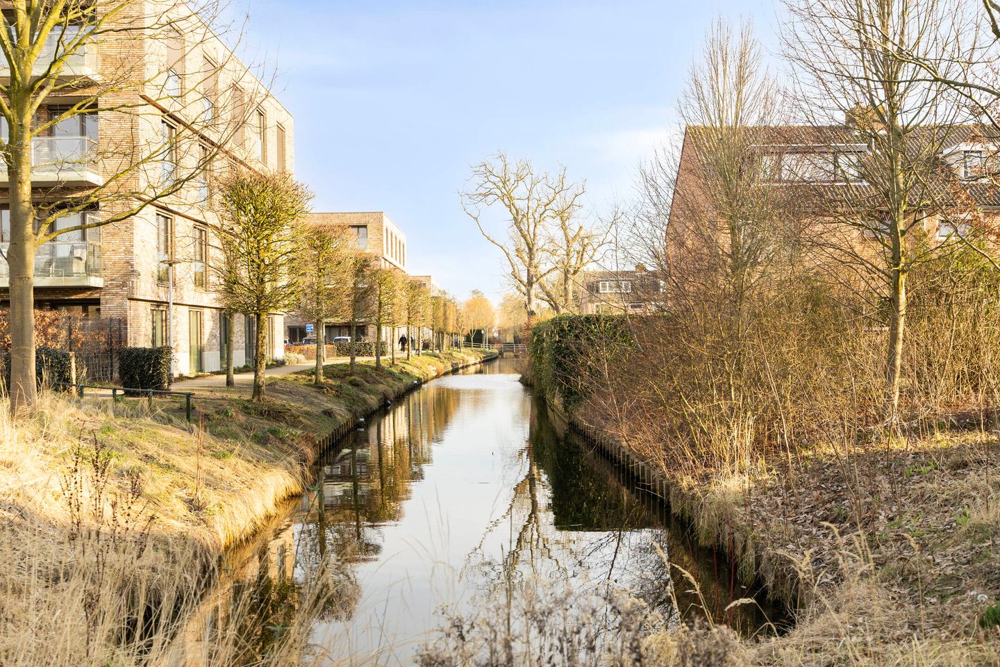 Foto 35 van Parnassialaan 50