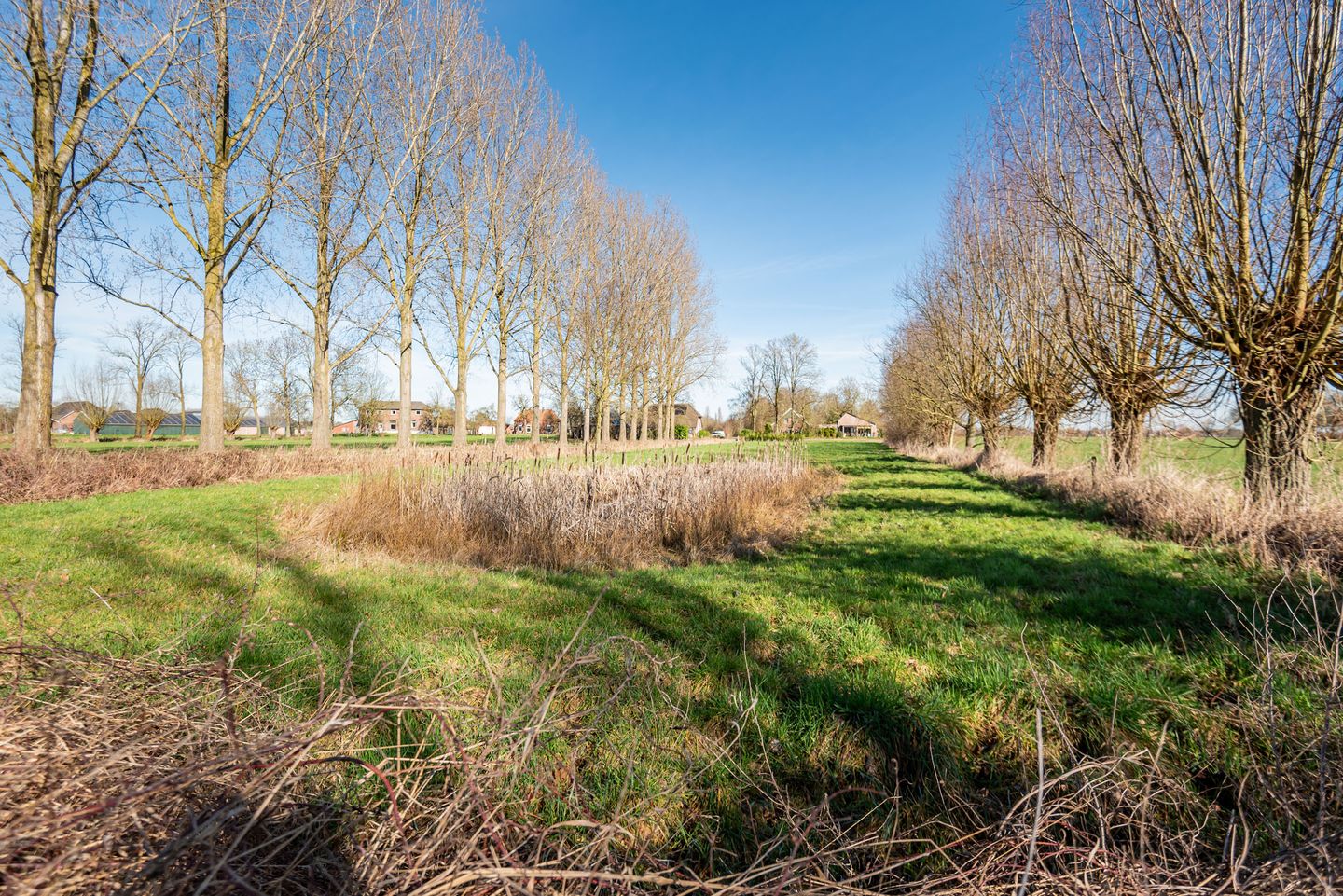 Foto 64 van Walseweg 18-A