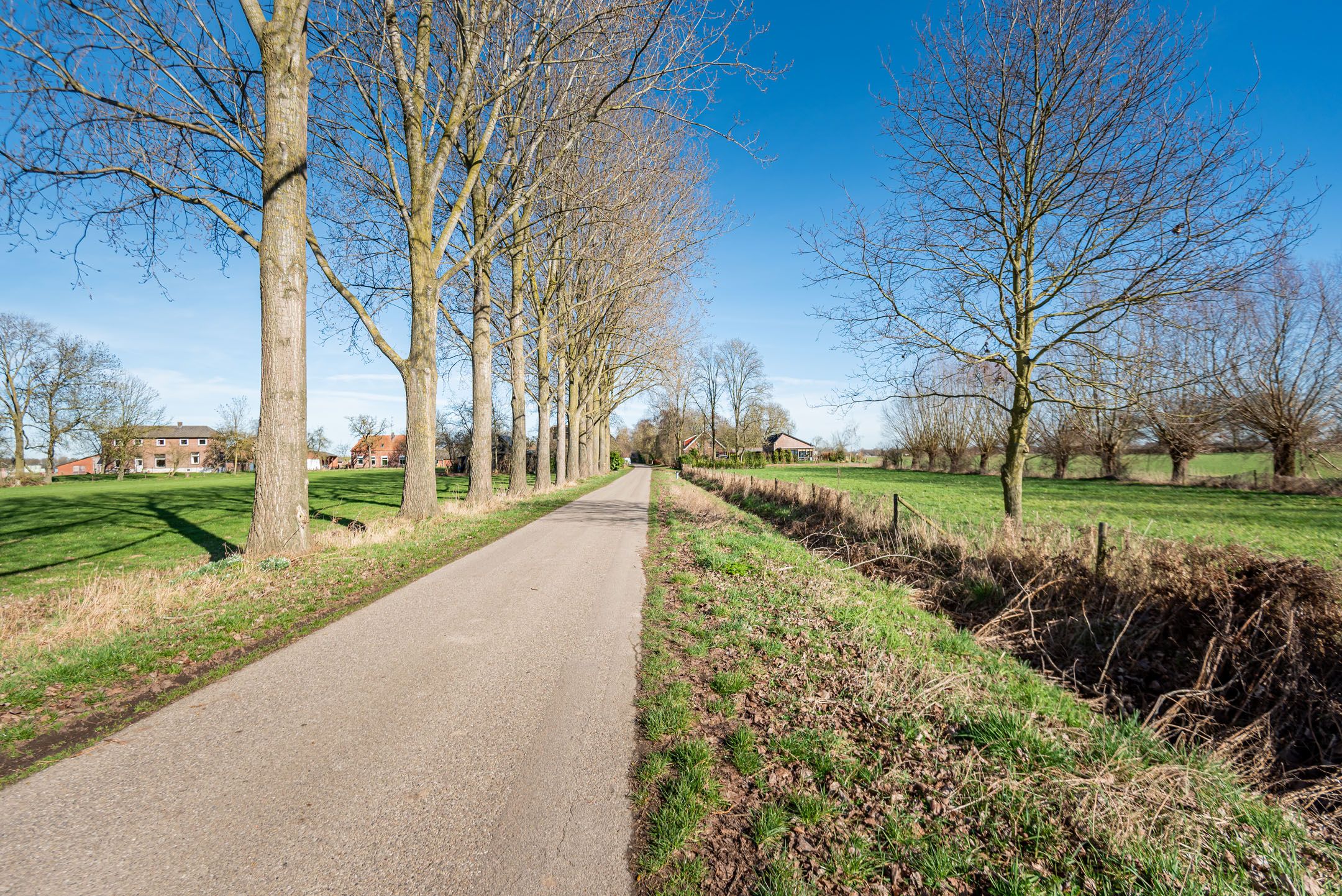 Foto 66 van Walseweg 18-A