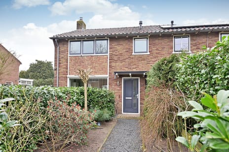 undefined main image