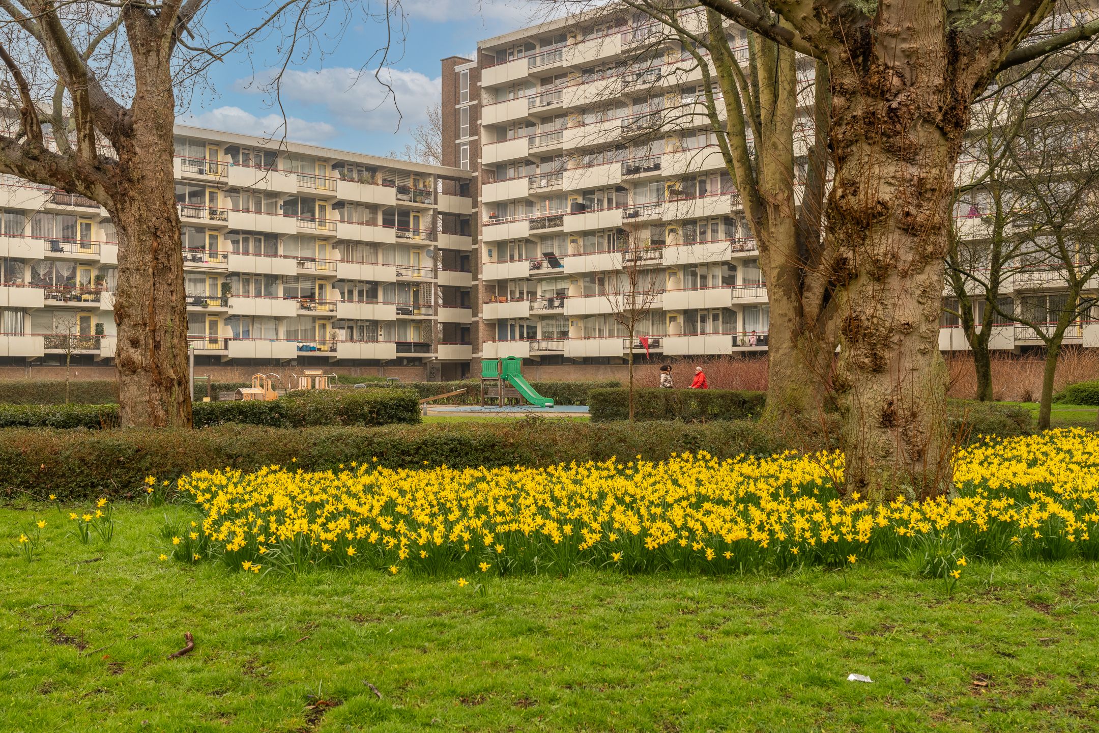 Foto 51 van Rode Kruislaan 40