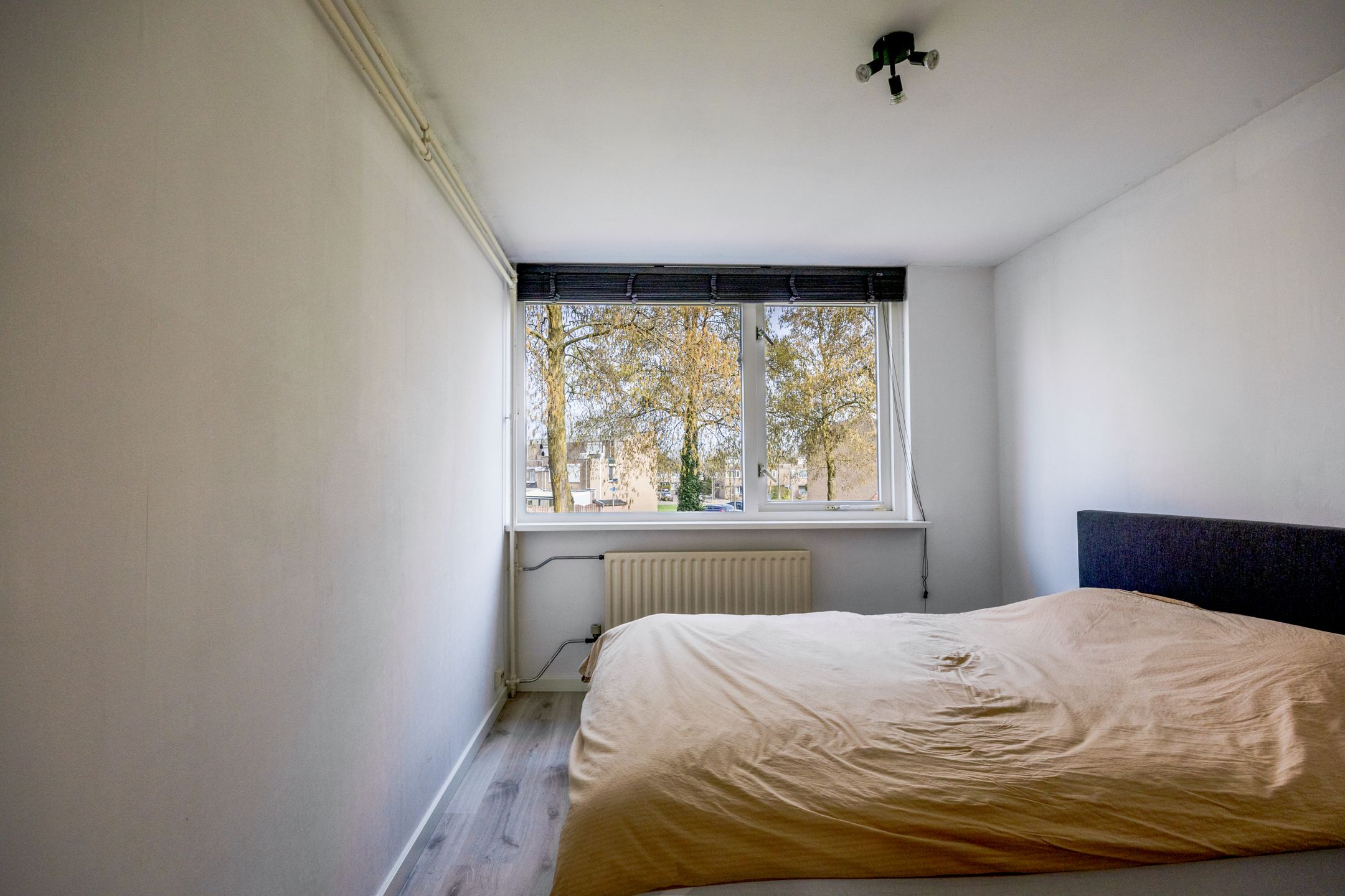 Foto 27 van Tolhuis 3512