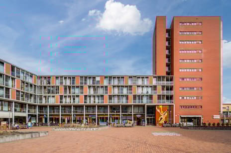 undefined main image