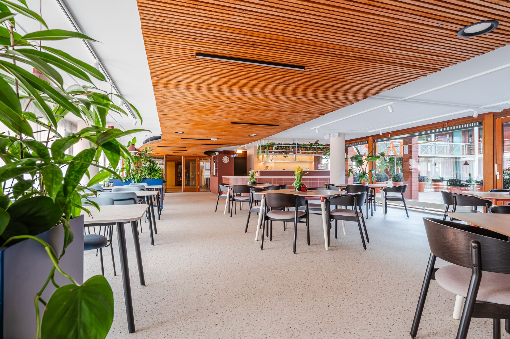 Photo 42 of Ouverture 46