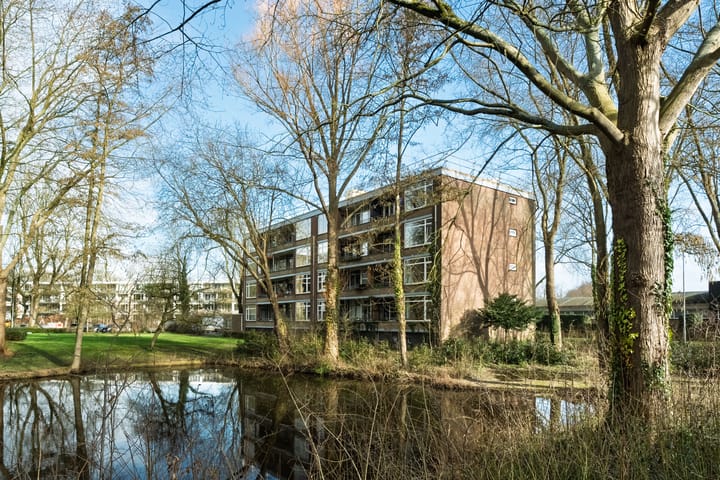 Groen van Prinstererstraat 11
