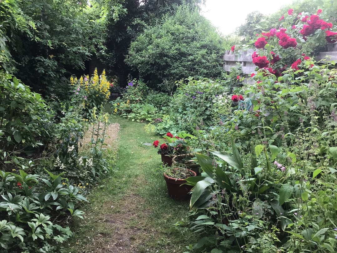 Photo 32 of Moeflonstraat 39