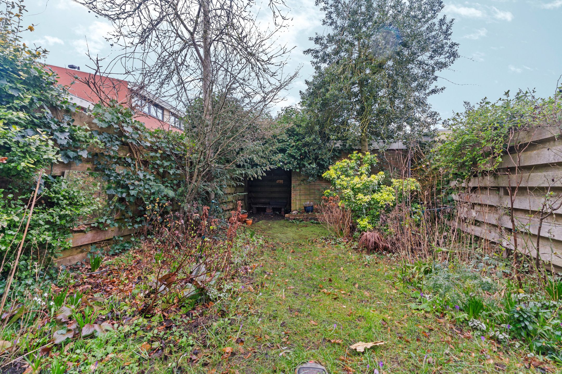 Photo 33 of Moeflonstraat 39