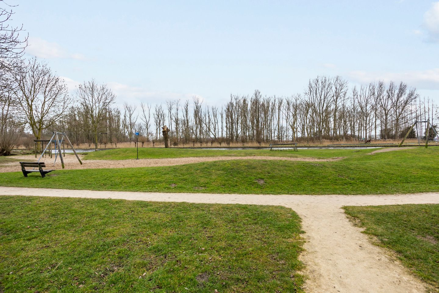 Foto 49 van Bram Limburgstraat 136