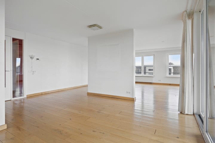 Foto 3 van Koriander 8