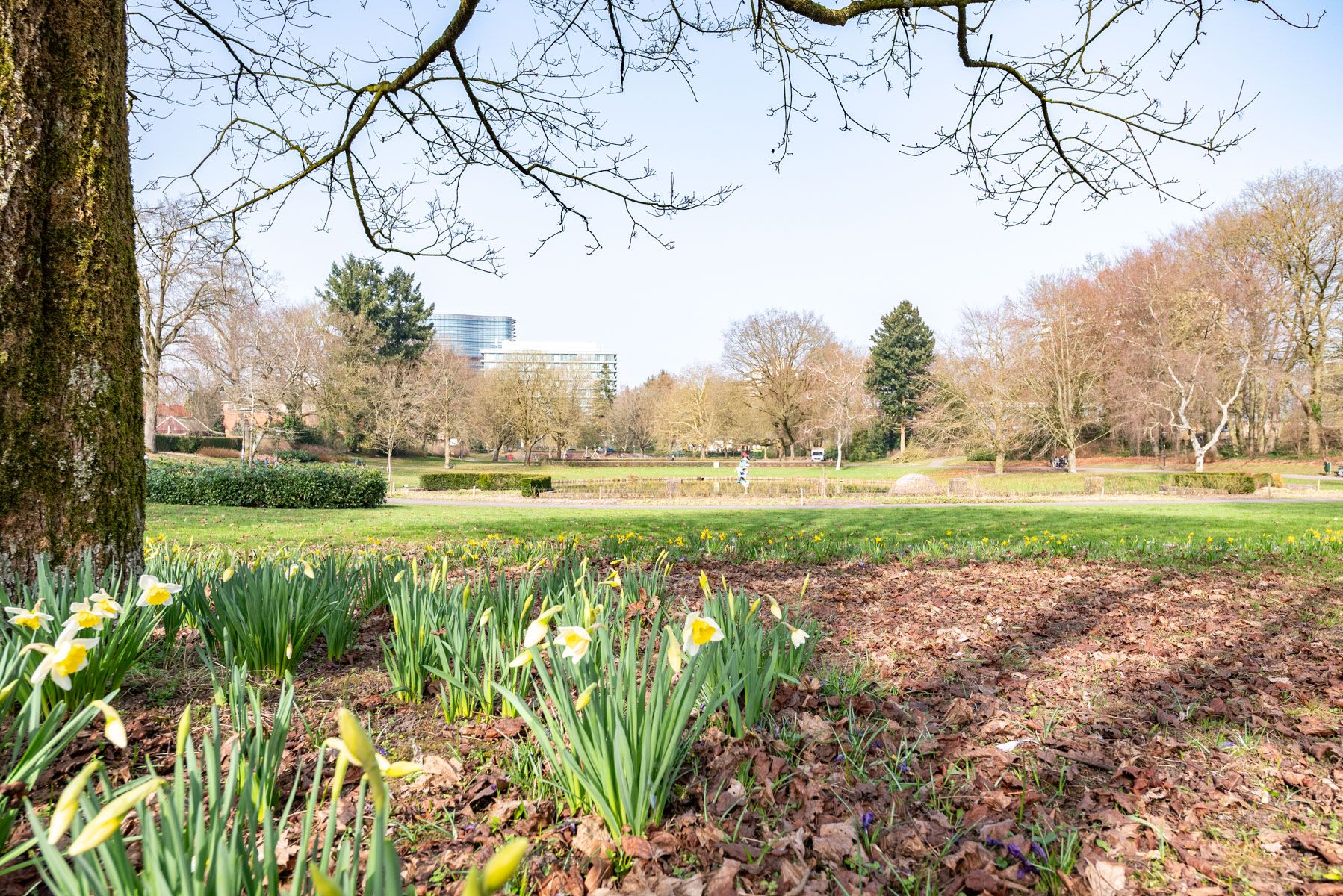 Foto 27 van Henri Dunantlaan 23