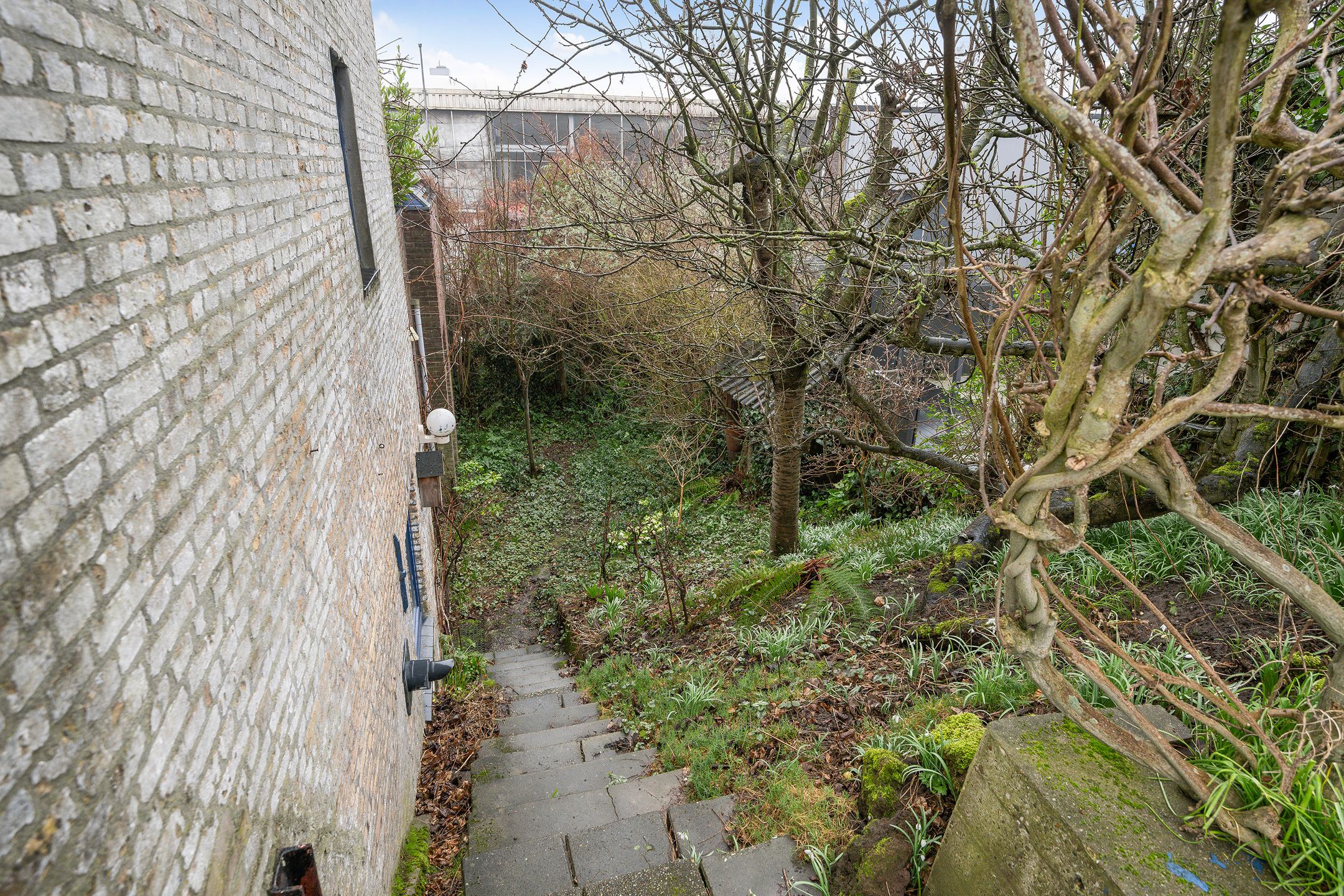 Foto 27 van Ringdijk 66