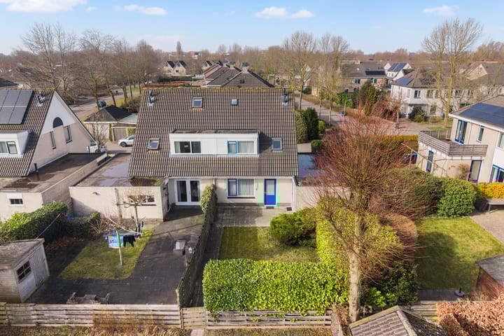 Foto 2 van Haersmastins 44