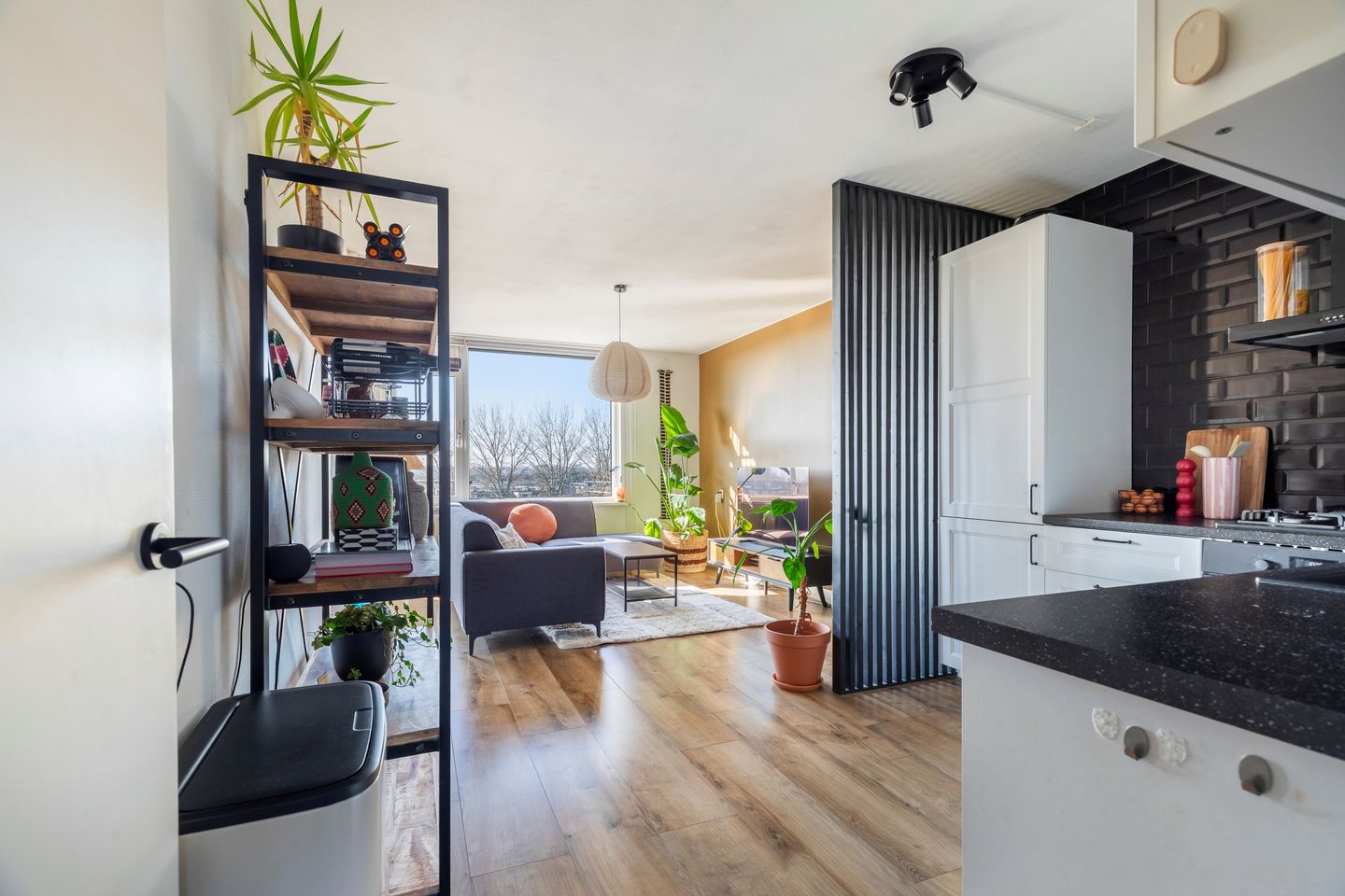 Photo 10 of Burgemeester de Raadtsingel 263