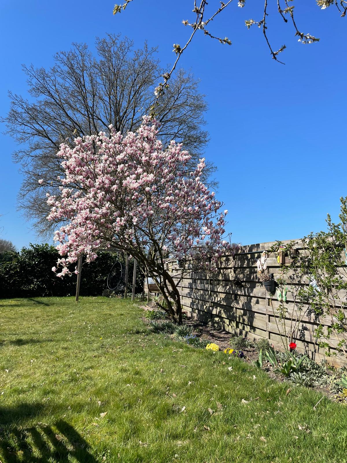 Photo 64 of Boelenswei 70