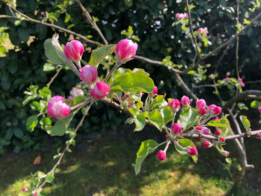 Photo 62 of Boelenswei 70