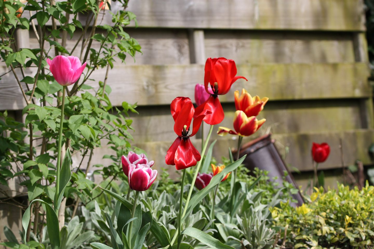 Photo 65 of Boelenswei 70