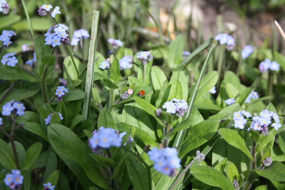 Photo 7 of Boelenswei 70