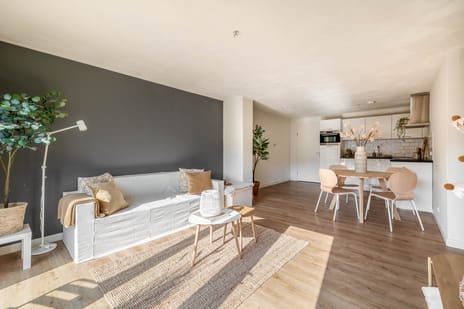 Steendijk 44 tertiary image