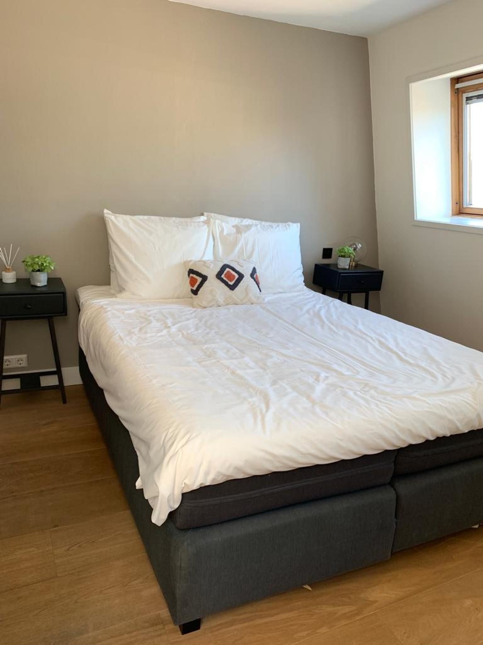 Photo 9 of Van Ostadestraat 350-3