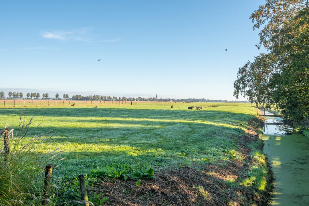 Foto 46 van Westerstraat 31-A