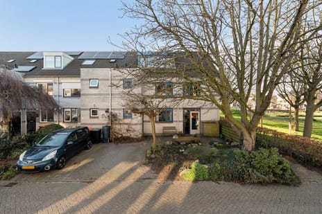 undefined main image