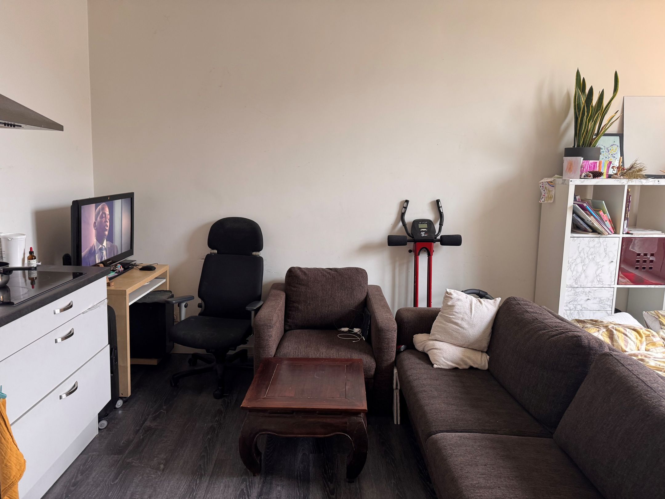 Foto 3 van Lage Rijndijk 43-A