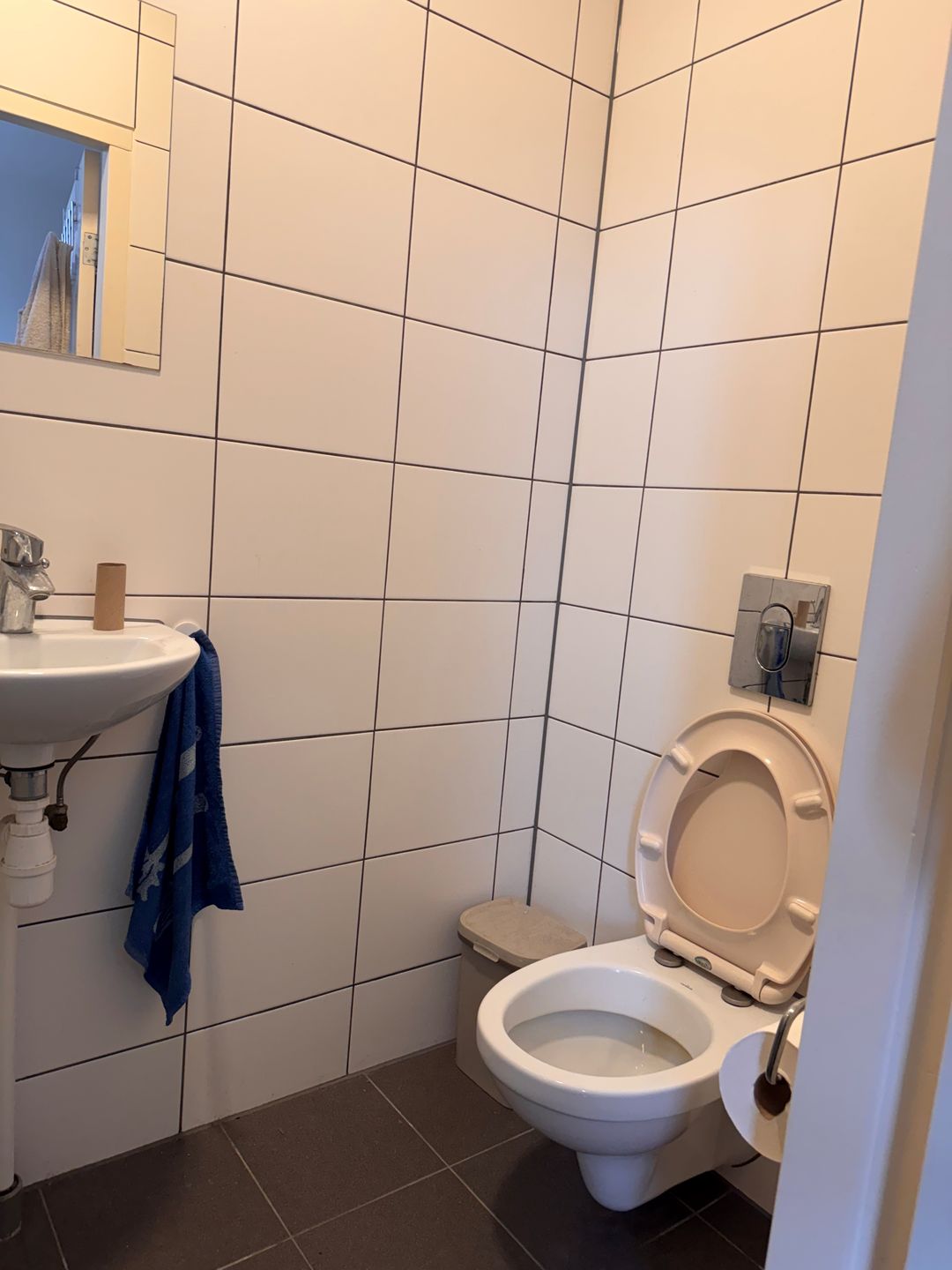 Foto 8 van Lage Rijndijk 43-A