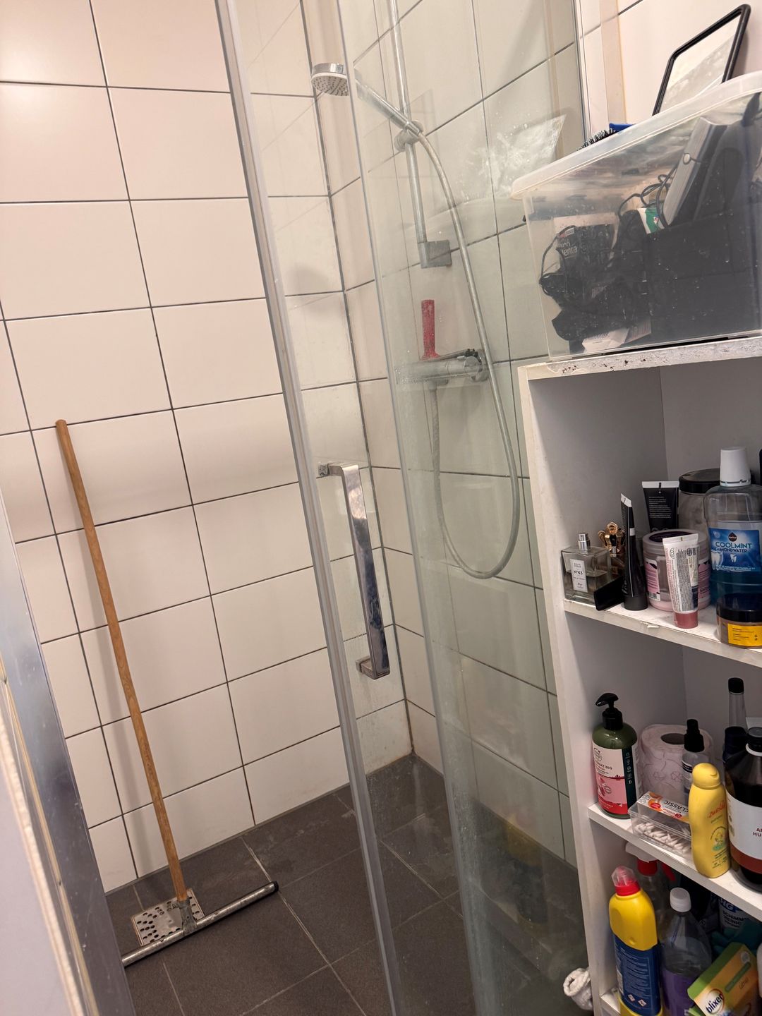 Foto 7 van Lage Rijndijk 43-A