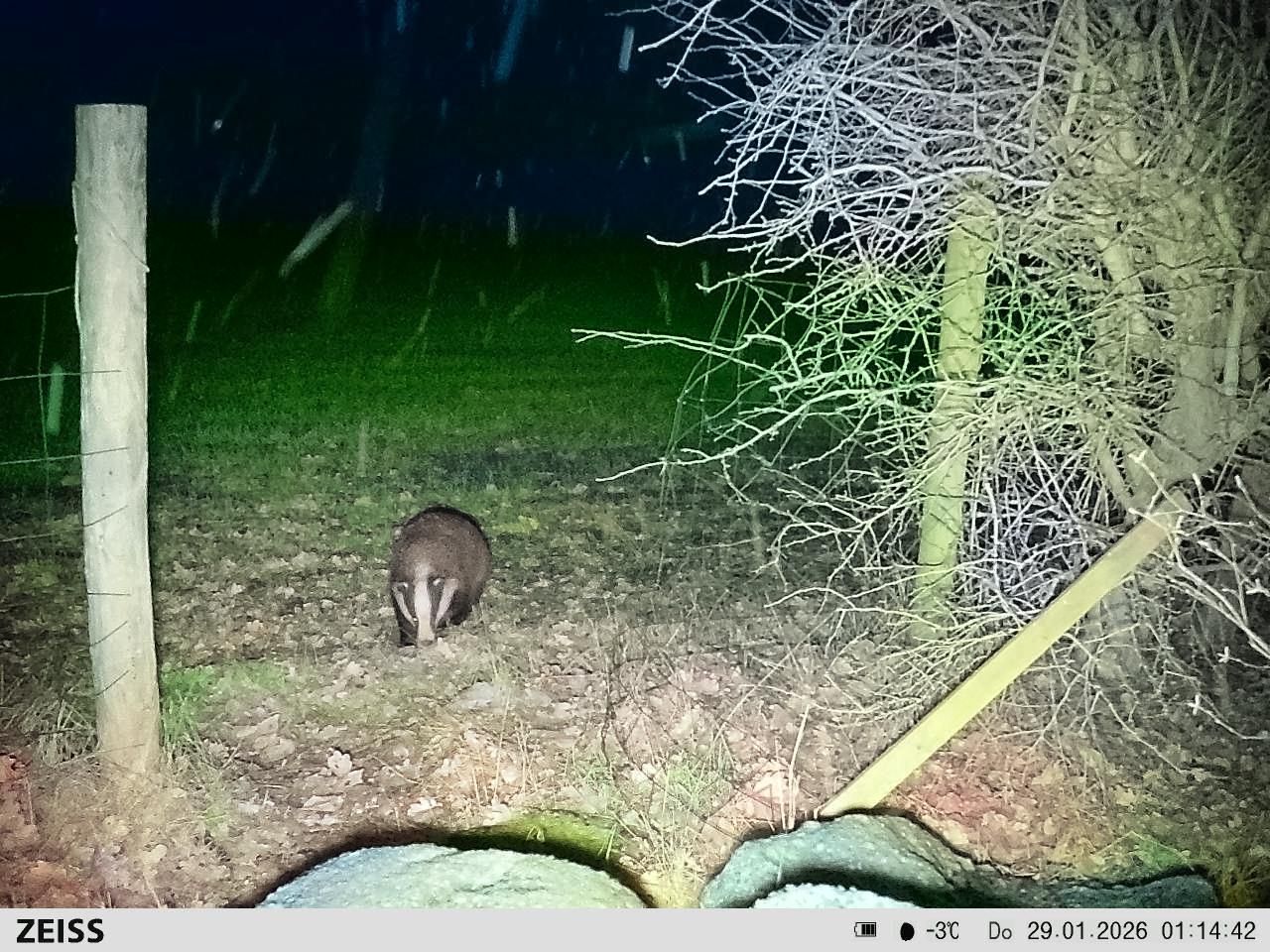 Foto 63 van Delbuursterweg 25