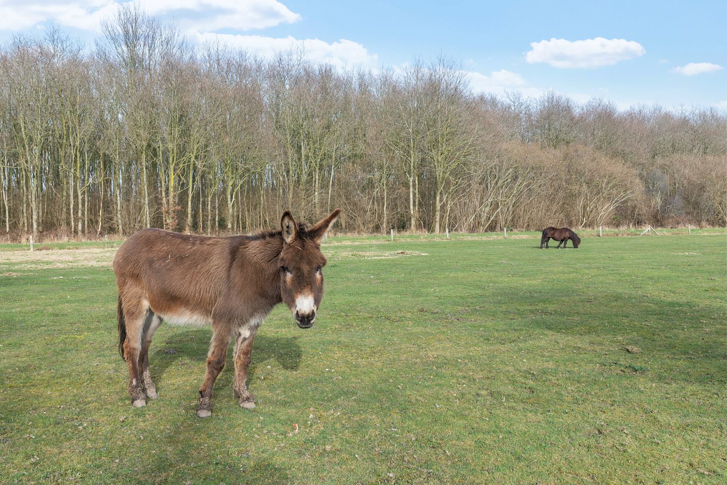 Foto 64 van Delbuursterweg 25