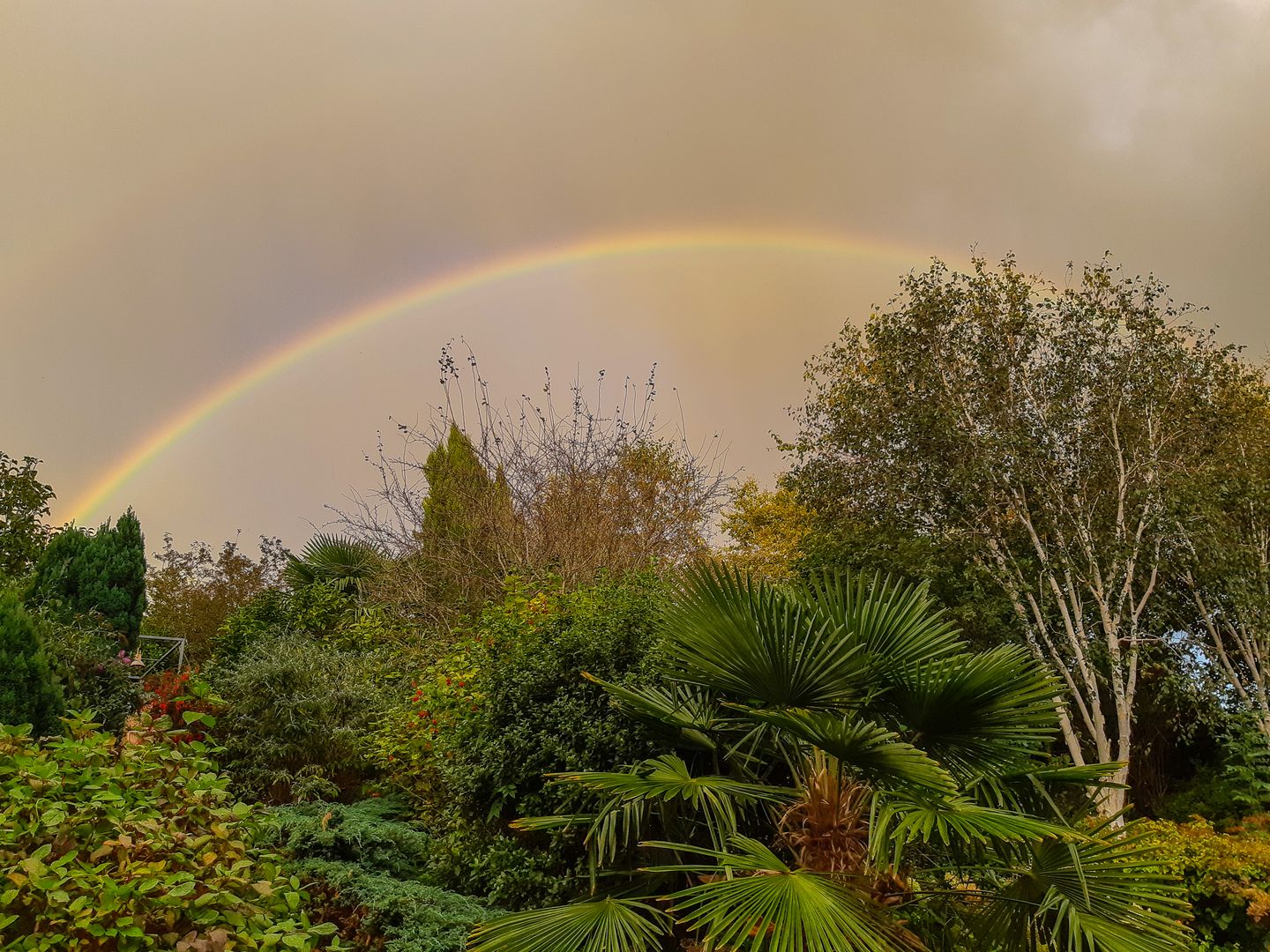 Foto 35 van Admiraal de Ruyterlaan 12-C