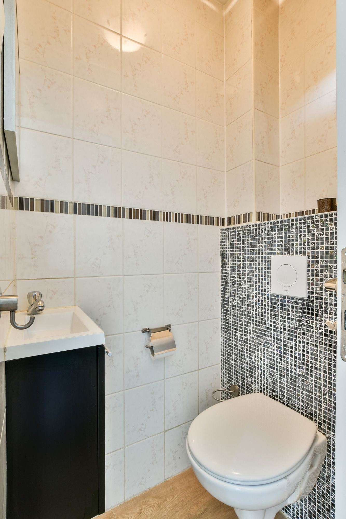 Photo 18 of Sint Philipsland 5