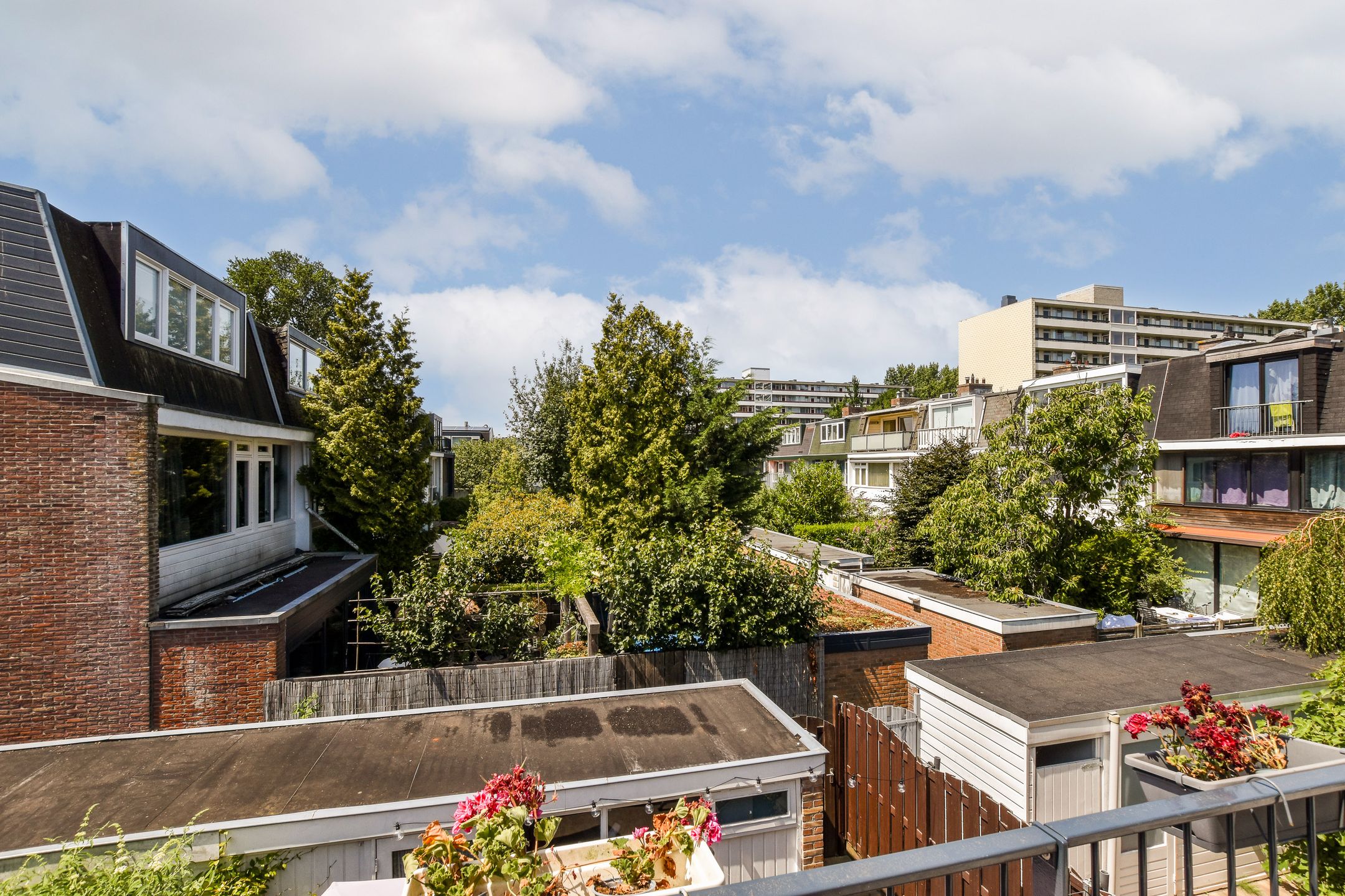 Photo 21 of Sint Philipsland 5