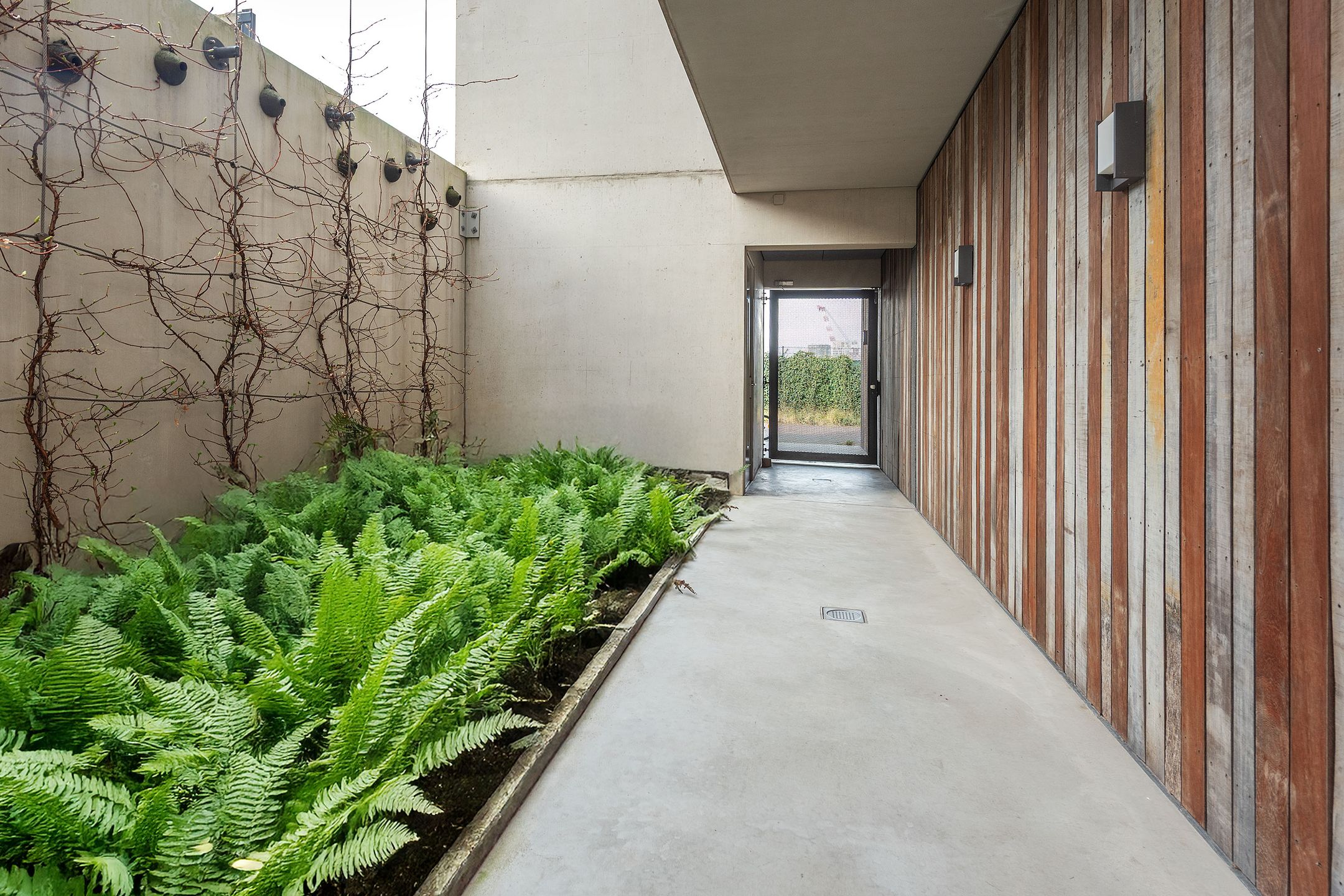 Photo 3 of Boterbloemstraat 15